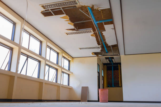 Best Carpet water damage restoration  in Lame Deer, MT