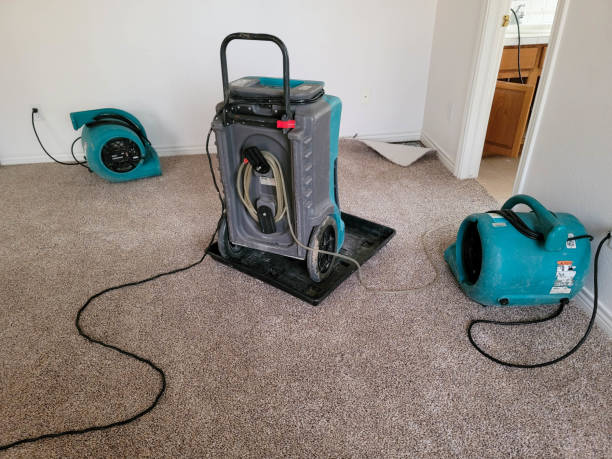 Water damage restoration insurance claims in Lame Deer, MT