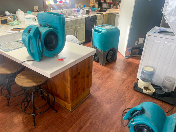 Water damage restoration mold remediation in Lame Deer, MT