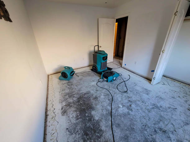 Best Professional water damage repair  in Lame Deer, MT