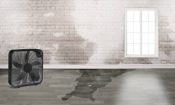 Best 24-hour water damage restoration  in Lame Deer, MT