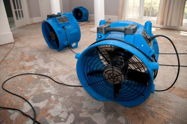 Best Mold removal after water damage  in Lame Deer, MT