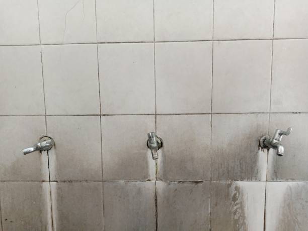 Best Flood damage cleanup  in Lame Deer, MT