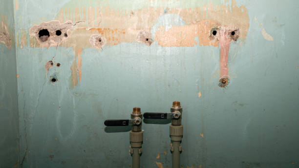 Best Water damage cleanup near me  in Lame Deer, MT