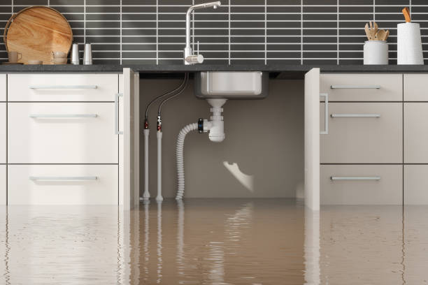  Lame Deer, MT Water damage restoration Pros